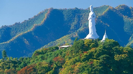 Japan 45