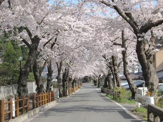 Kamaishi 2