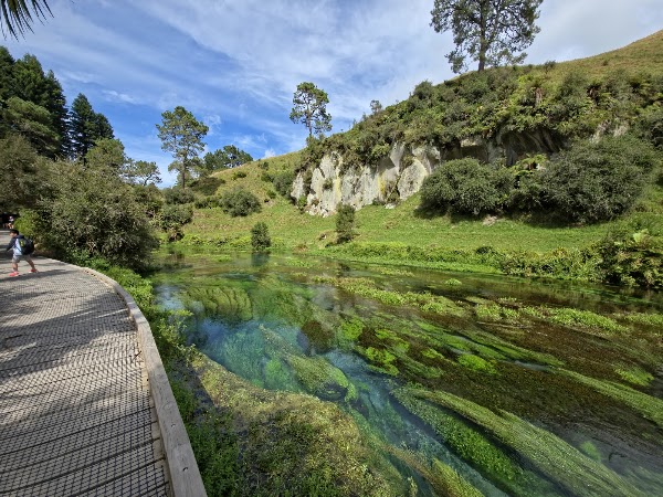 Nz 51