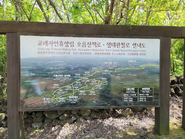 Gyorae Natural Recreation Forest 5