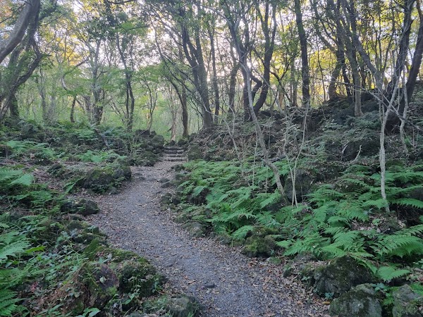 Gyorae Natural Recreation Forest 4