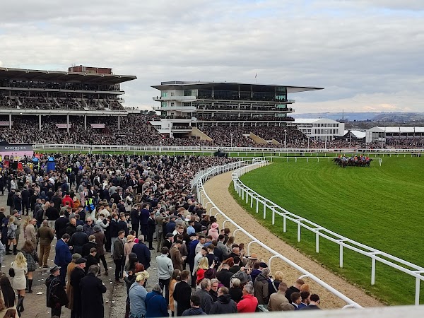 Cheltenham Racecourse 1