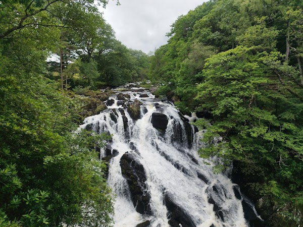 Rhaeadr Ewynnol / Swallow Falls 1