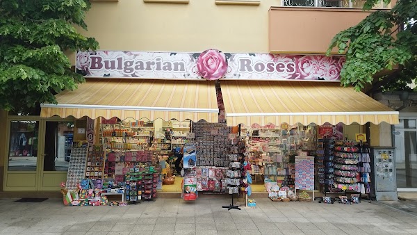 Bulgarian Rose 1