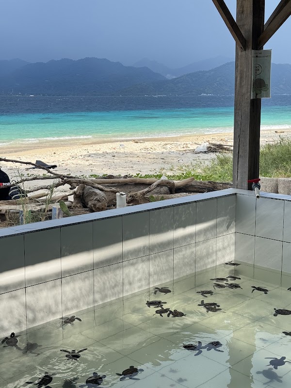 Turtle Sanctuary Gili Meno 4