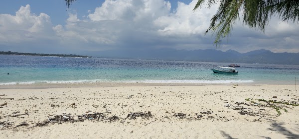 Turtle Sanctuary Gili Meno 3