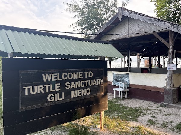 Turtle Sanctuary Gili Meno 2