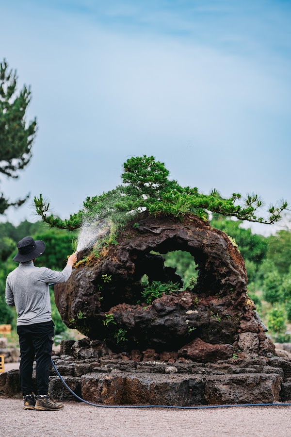 DolNang art garden