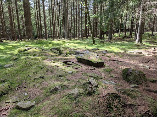 Fulltofta strövområde. Hällekistan