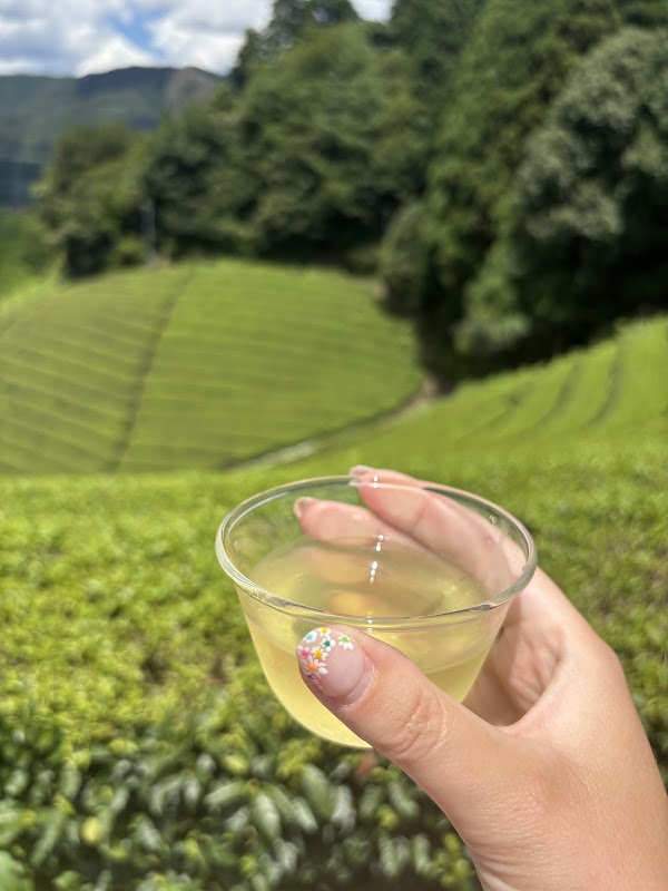 Kyoto Obubu Tea Farms, LLC 3