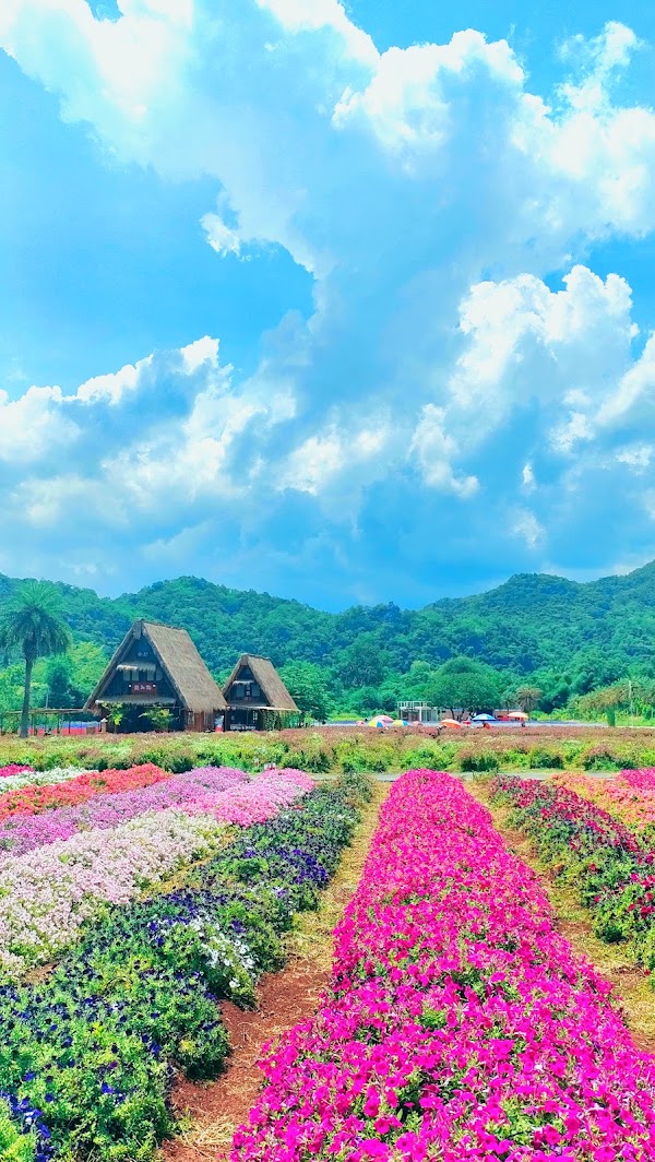 Hokkaido Flower Park Khaoyai 5