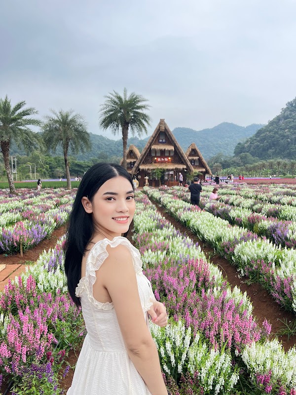 Hokkaido Flower Park Khaoyai 4