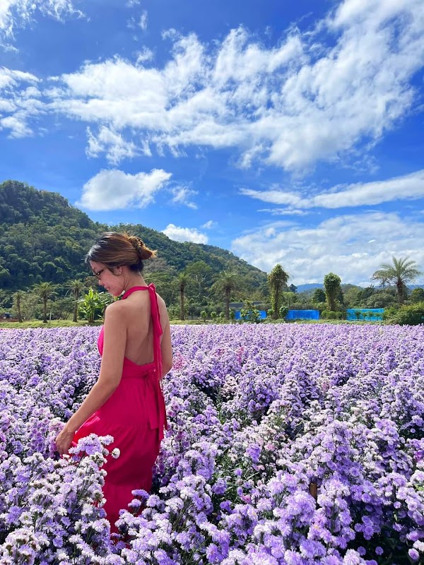 Hokkaido Flower Park Khaoyai 3