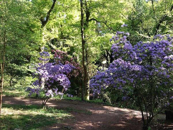 Parc Cefn Onn