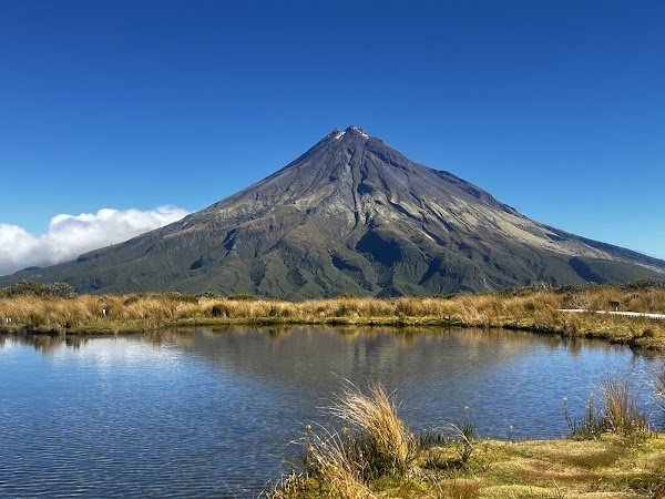 Mangorei Track Trailhead 1