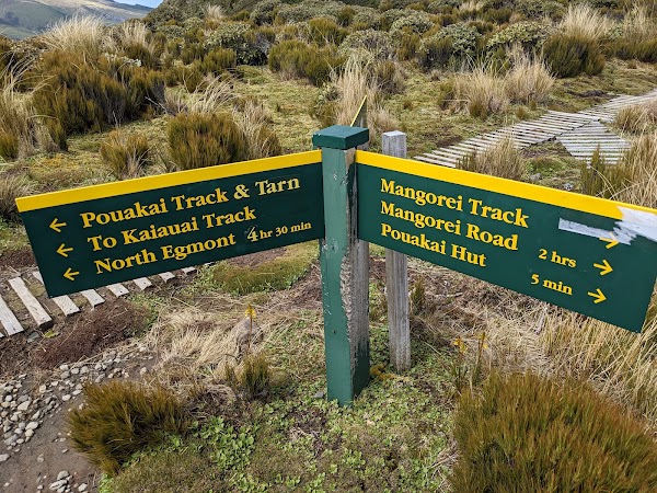 Mangorei Track Trailhead 5
