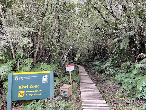 Mangorei Track Trailhead 2