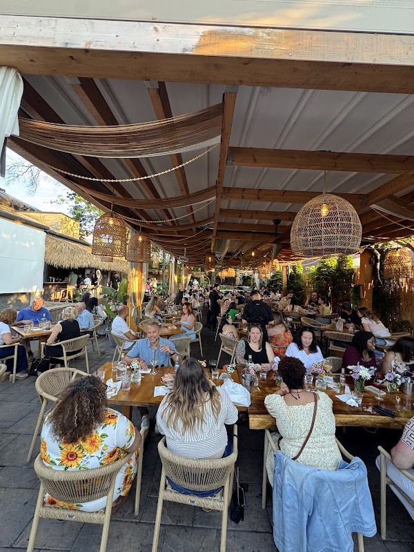 The Oasis Cafe 2