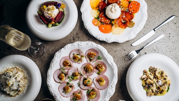 HEDONIST SPACE restaurant | lounge | bar 5