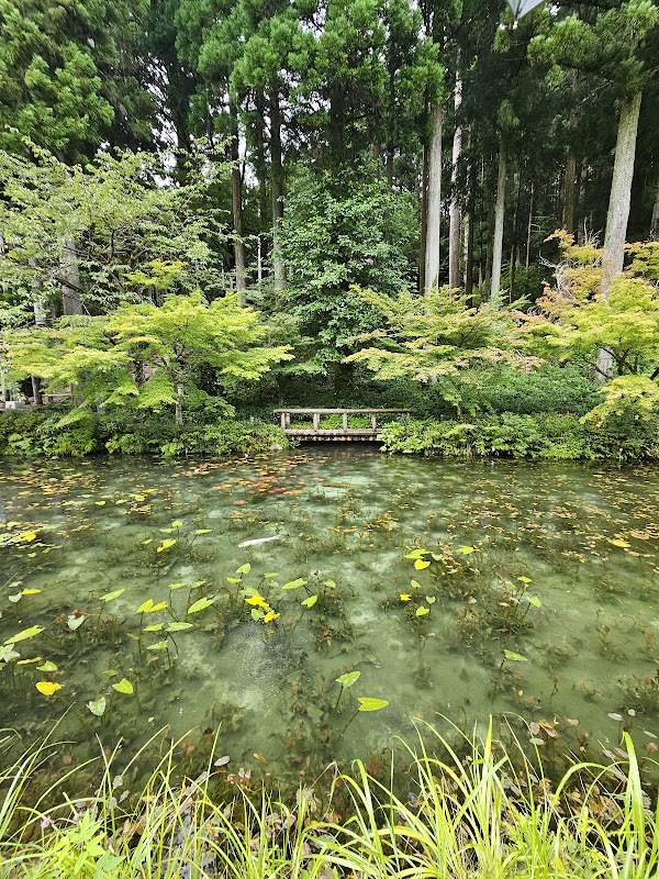 Monet No Pond 1