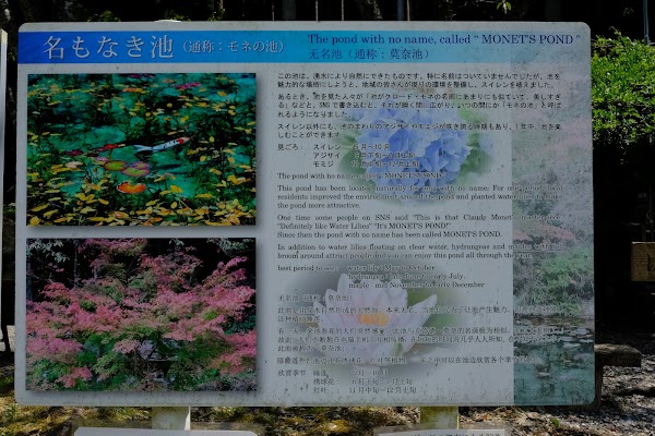 Monet No Pond 4