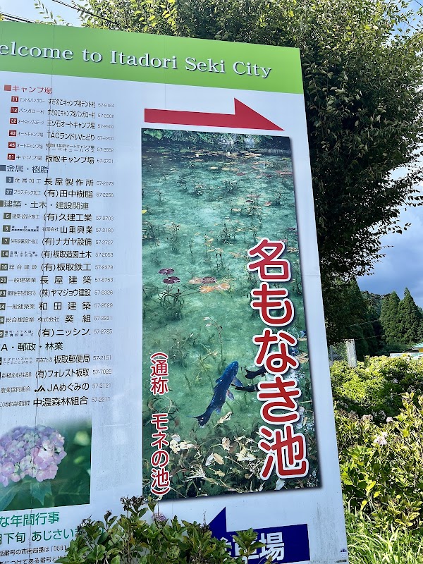 Monet No Pond 3