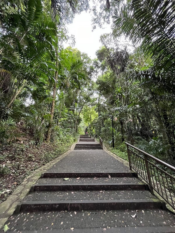 Marang Trail