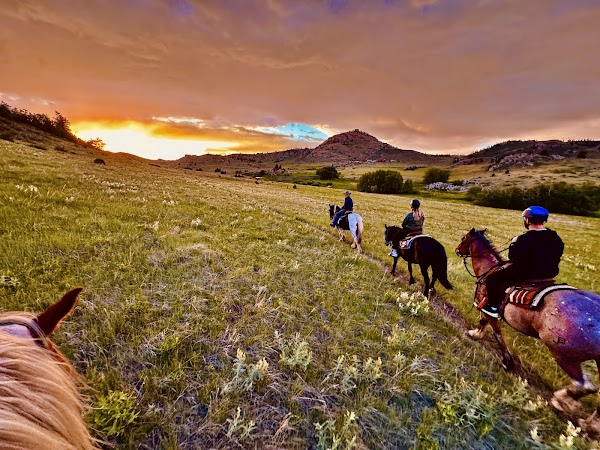 Tattered Saddle - Gordon Creek Stables 1