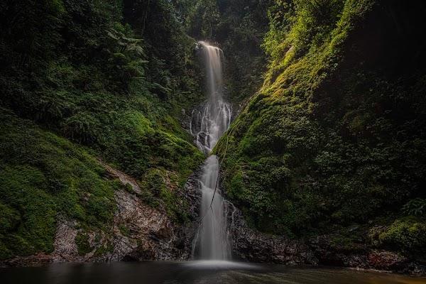 Nyungwe National Park 2