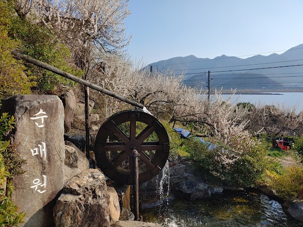 순매원 2