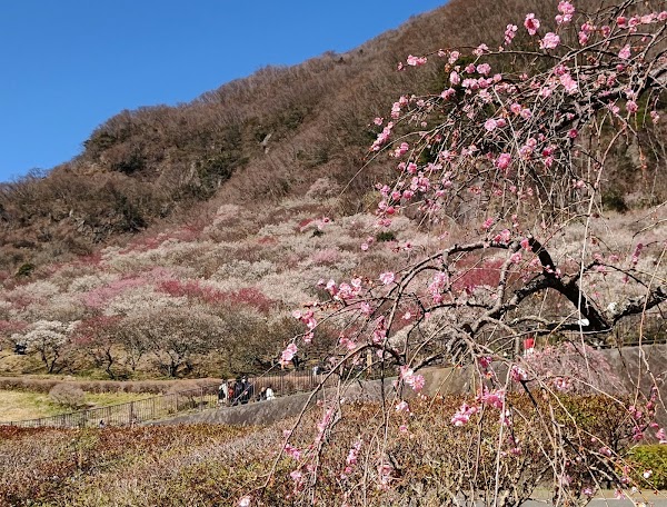 Makuyama Park