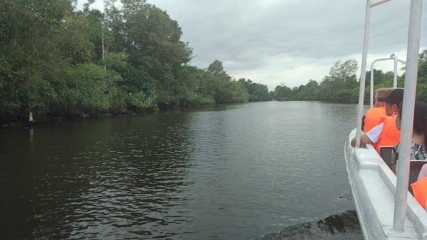 Klias Wetland Adventures 3
