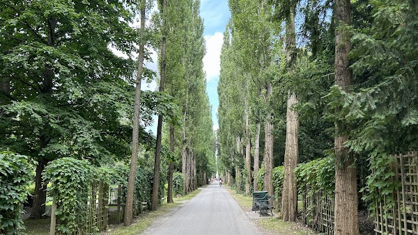 Assistens Cemetery 6
