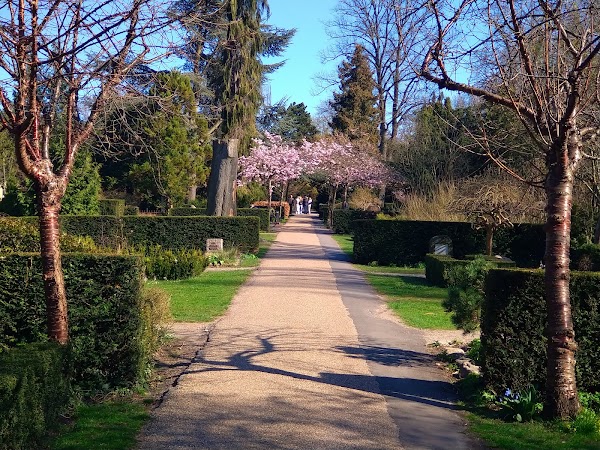Assistens Cemetery 5