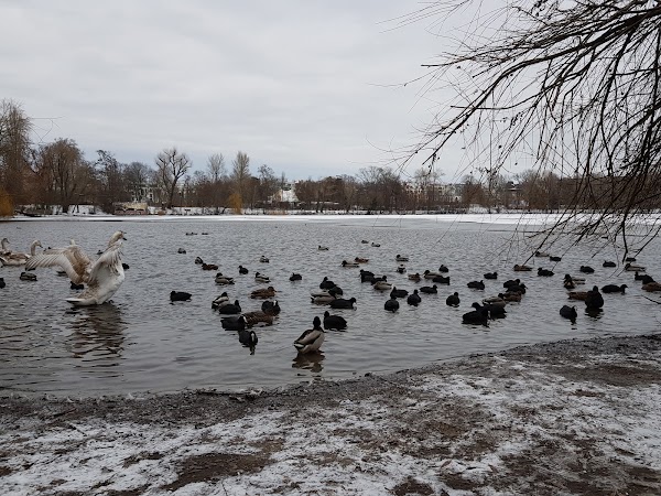 Park am Weißen See 3