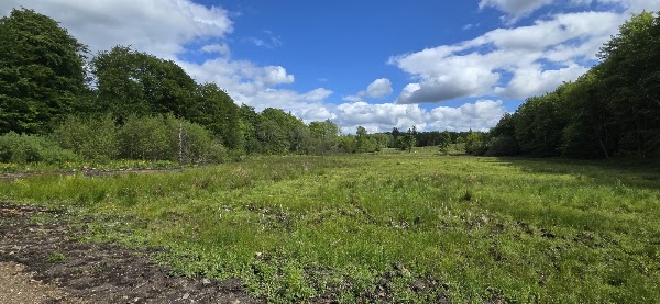 Lerbjerg Skov 1