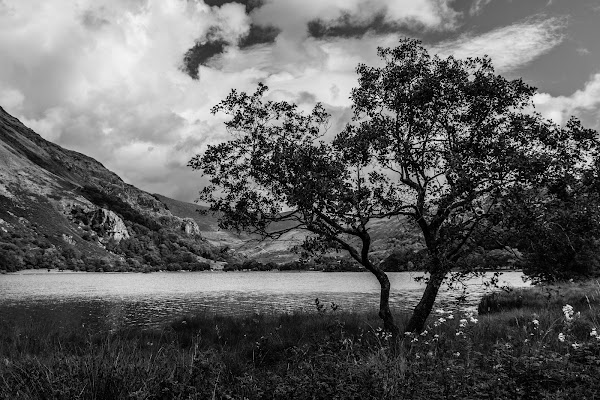 Llyn Gwynant 4
