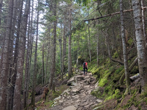 Les Loups Trail 4