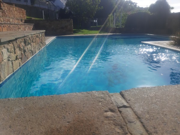 Froggy Pond Resort 4