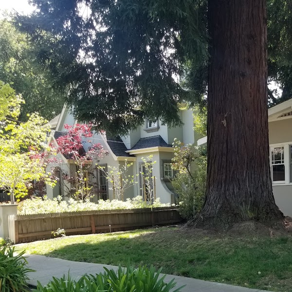 Palo Alto 1