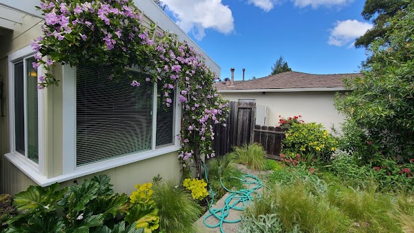 Palo Alto 5