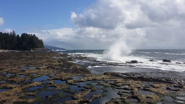 Botanical Beach 5