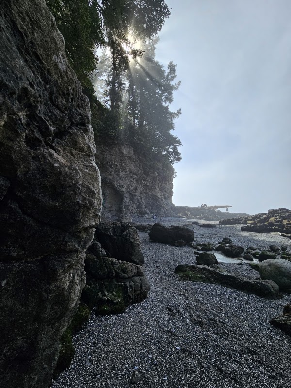 Botanical Beach 4