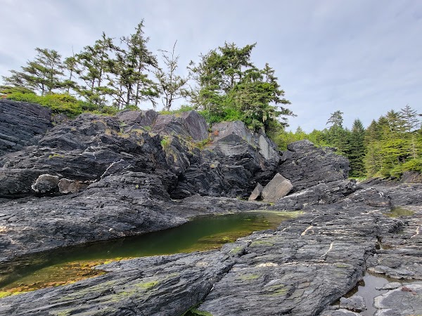 Botanical Beach 2