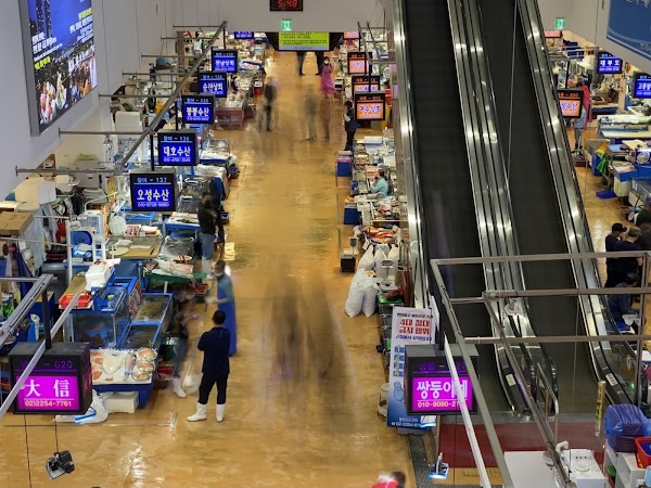 Noryangjin Fisheries Wholesale Market 5