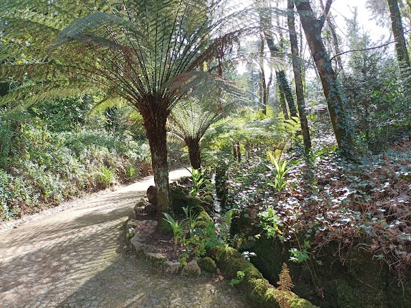 Parque da Pena
