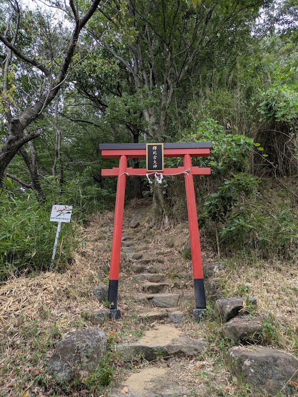 Takaosan 5