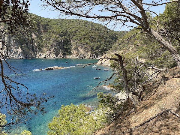 Cala Pedrosa