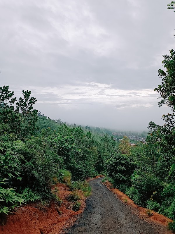 Bukit Desa Damai Hiking Trail Haus Farm 4