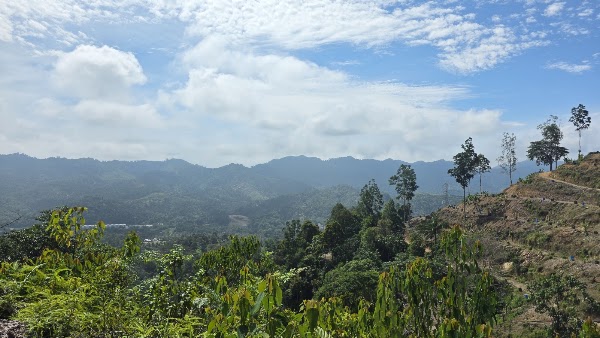 Bukit Desa Damai Hiking Trail Haus Farm 3